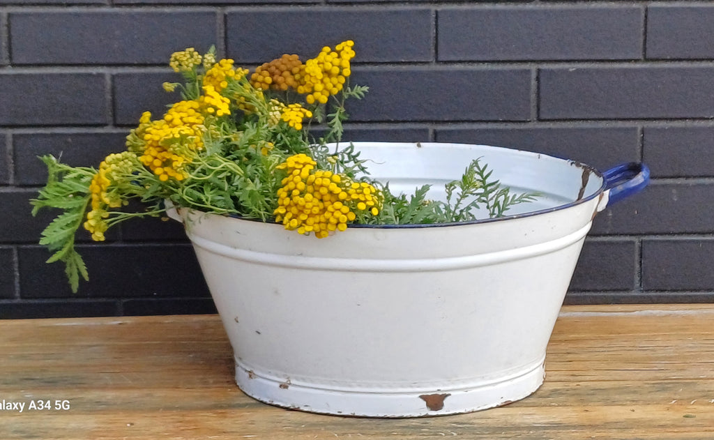 WHITE ENAMEL VINTAGE WASH BASIN