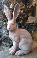 Large Rabbit