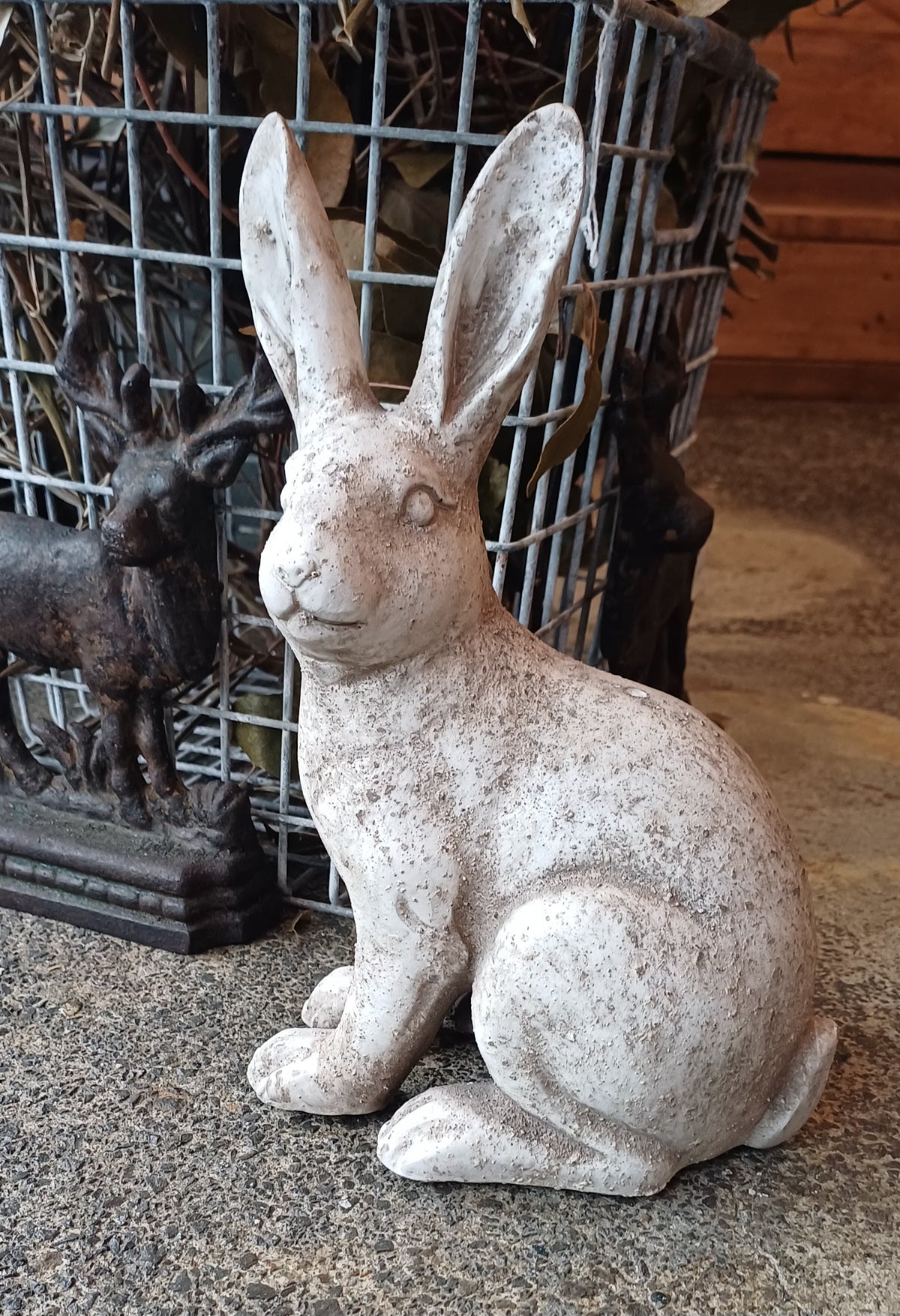 Small Rabbit