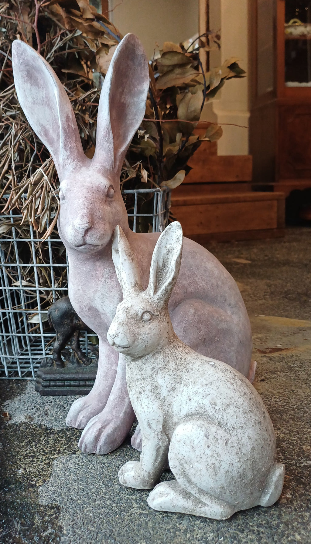 Large Rabbit