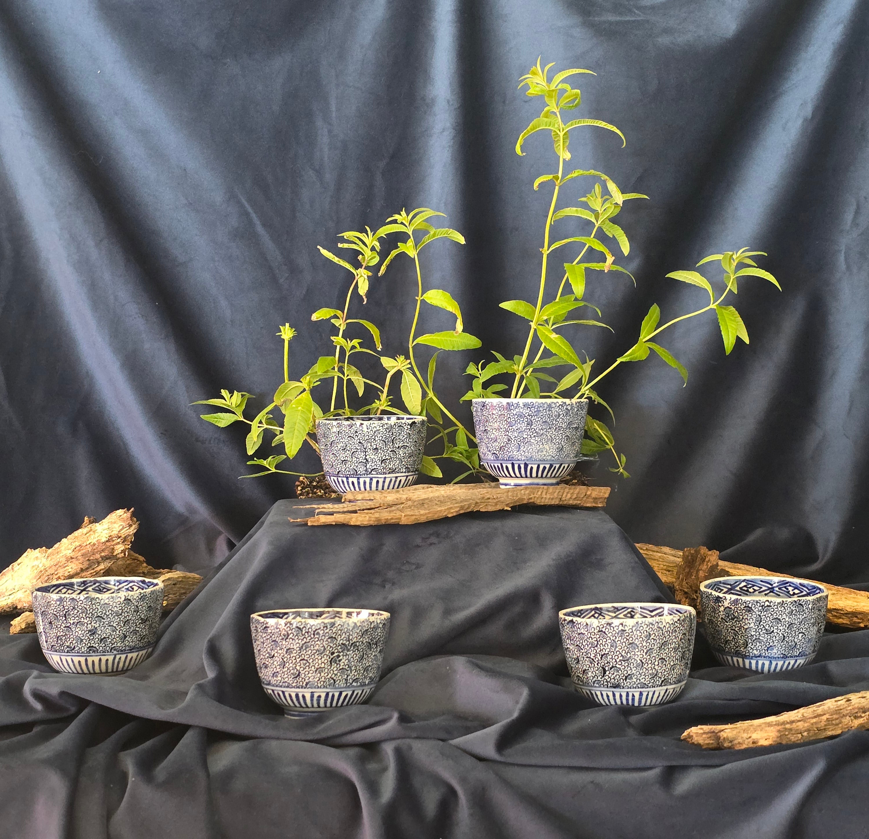 6x VINTAGE CHINESE BLUE TEACUP SET